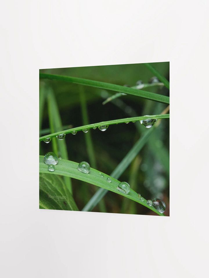 Dew Gems #9 - Print product image (4)