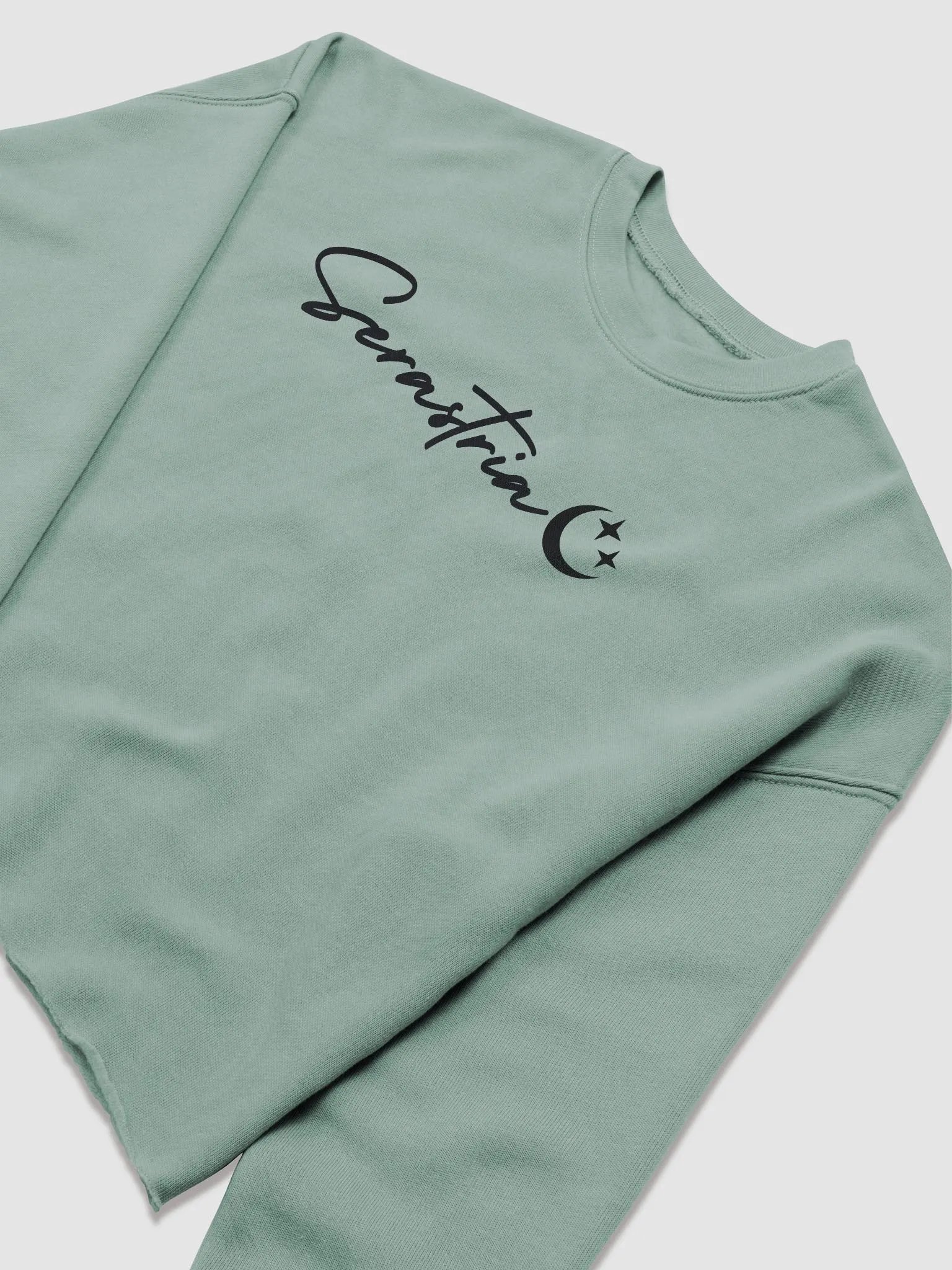 Serastria Cropped Sweatshirt product image (5)