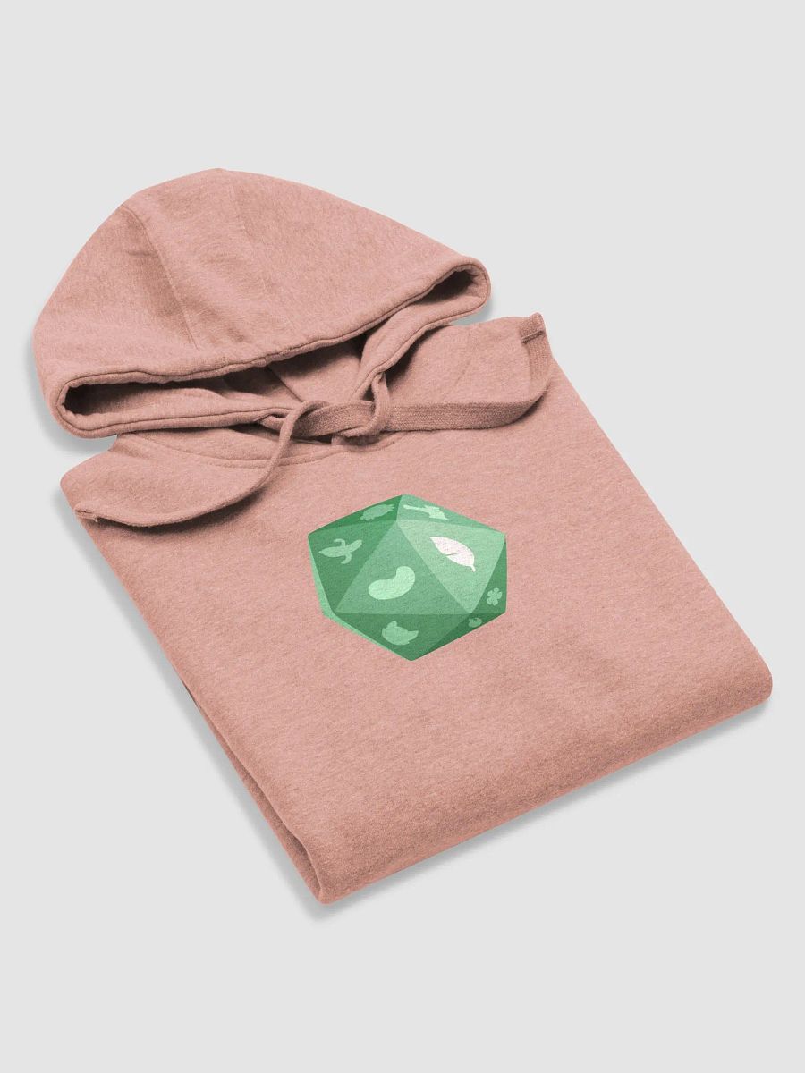 b20 - Willow Hoodie product image (6)