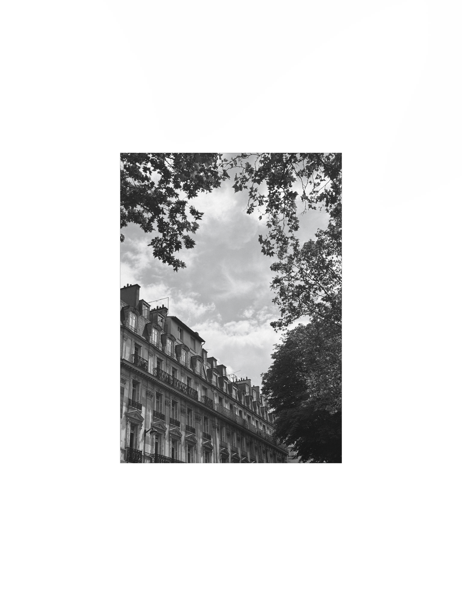 Toits ciel parisien dé-saturé (impression) product image (1)