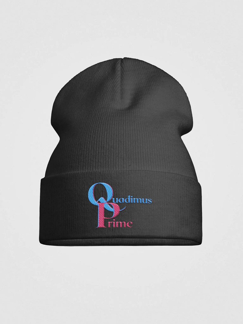 Black QP Beanie