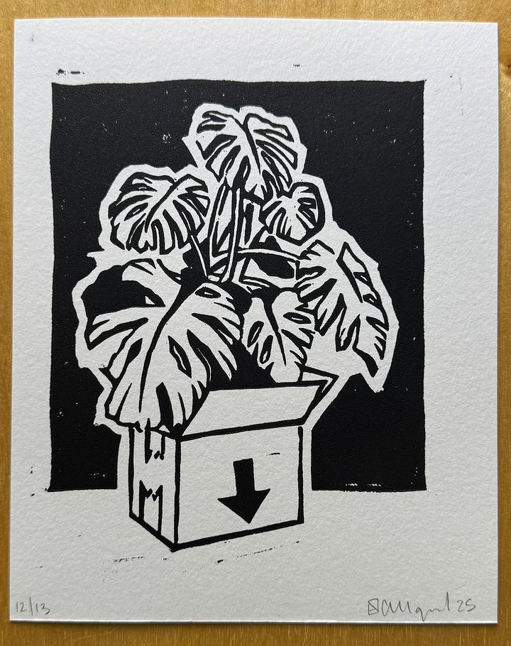 ORIGINAL - Monstera product image (1)