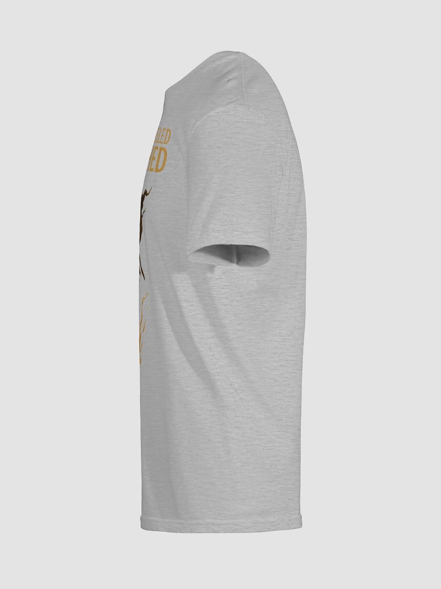 The One Wheeled Tarnished - Shirt product image (48)
