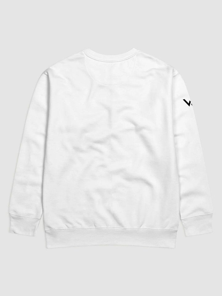 WorldWide Sweatshirt product image (2)