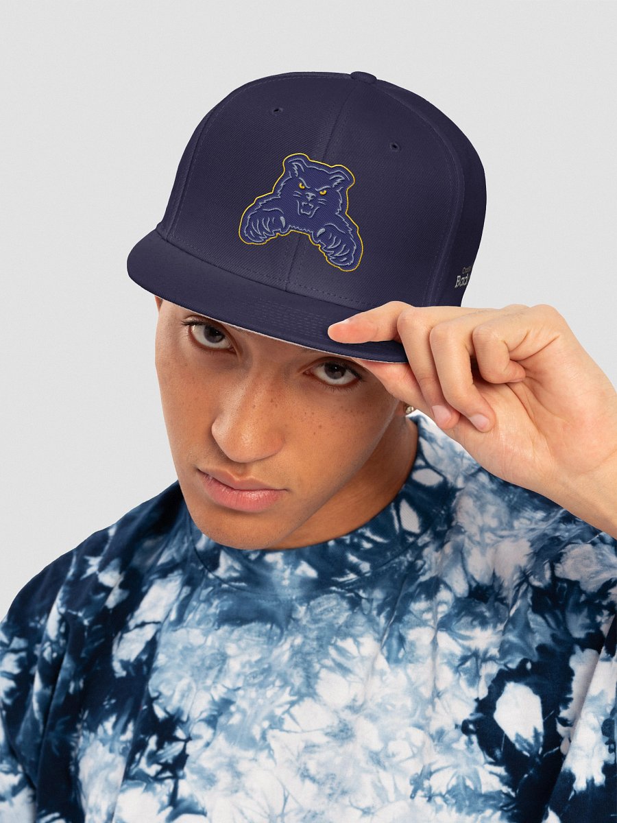 Cradle Bay Badgers - Disturbing Behavior product image (5)