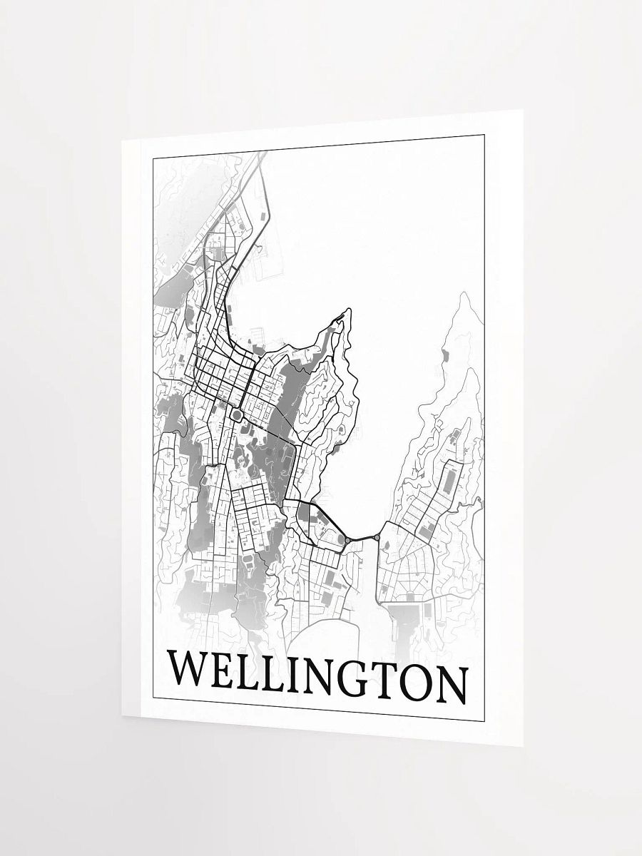 Wellington, New Zealand, city map print product image (8)