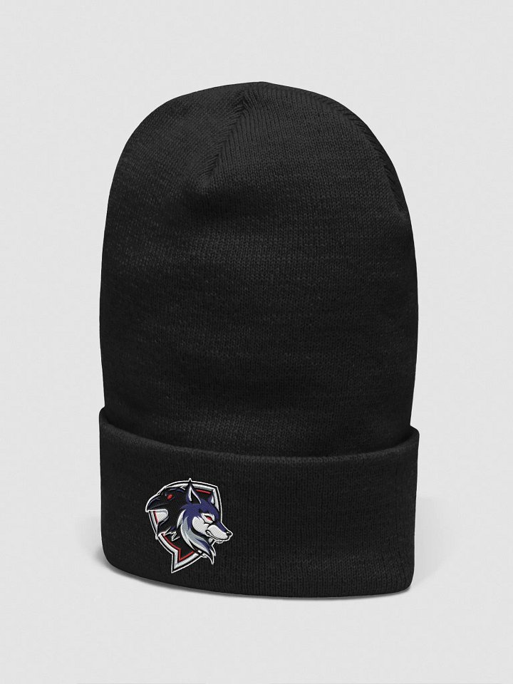 Raven Logo Beanie product image (7)