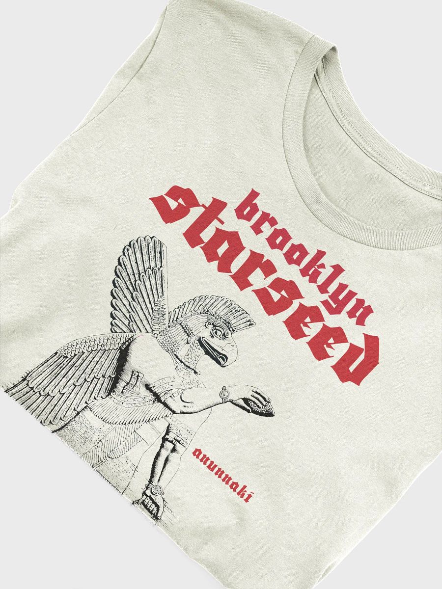 Brooklyn Starseed Anunnaki T-shirt product image (5)
