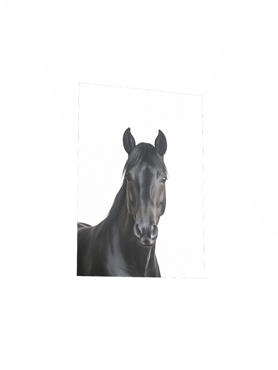 Farm Animal Black Horse Wall Art product image (17)