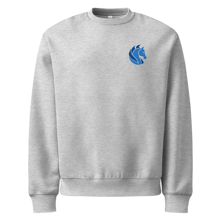 Embroidered Sweatshirt product image (4)