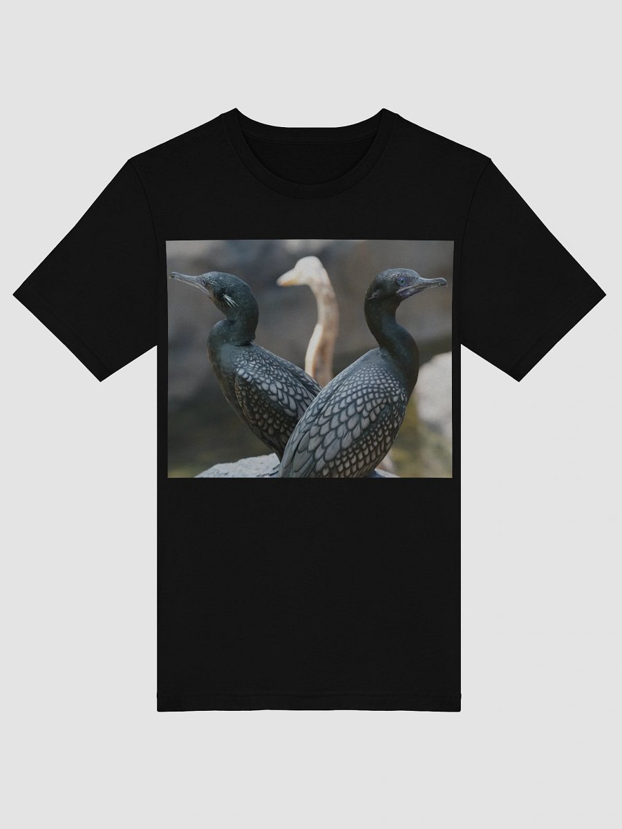 Mystic Avian Encounter T-Shirt product image (5)