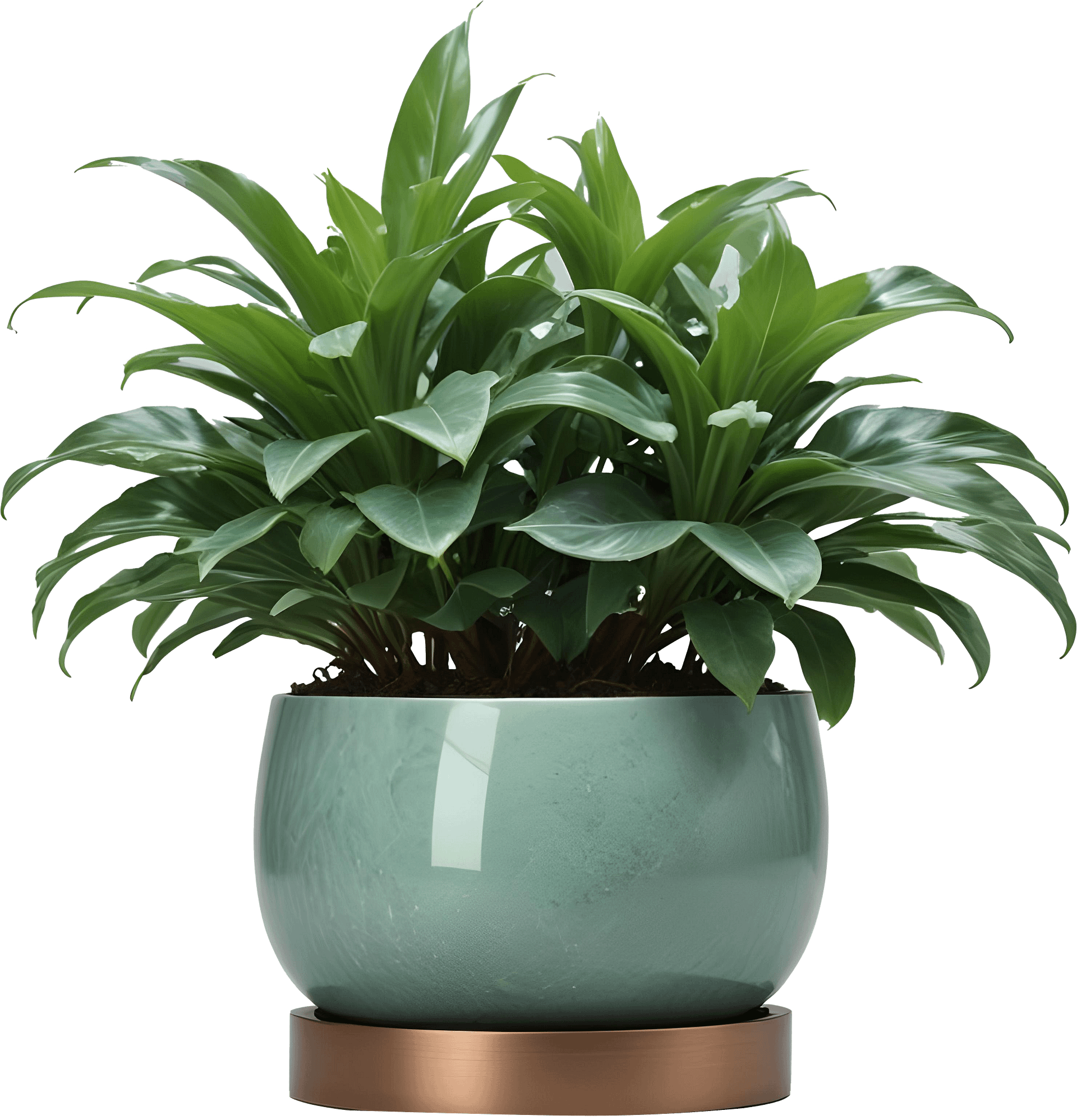 Jade Signature – Round Jade Planter with Copper Base PNG product image (1)