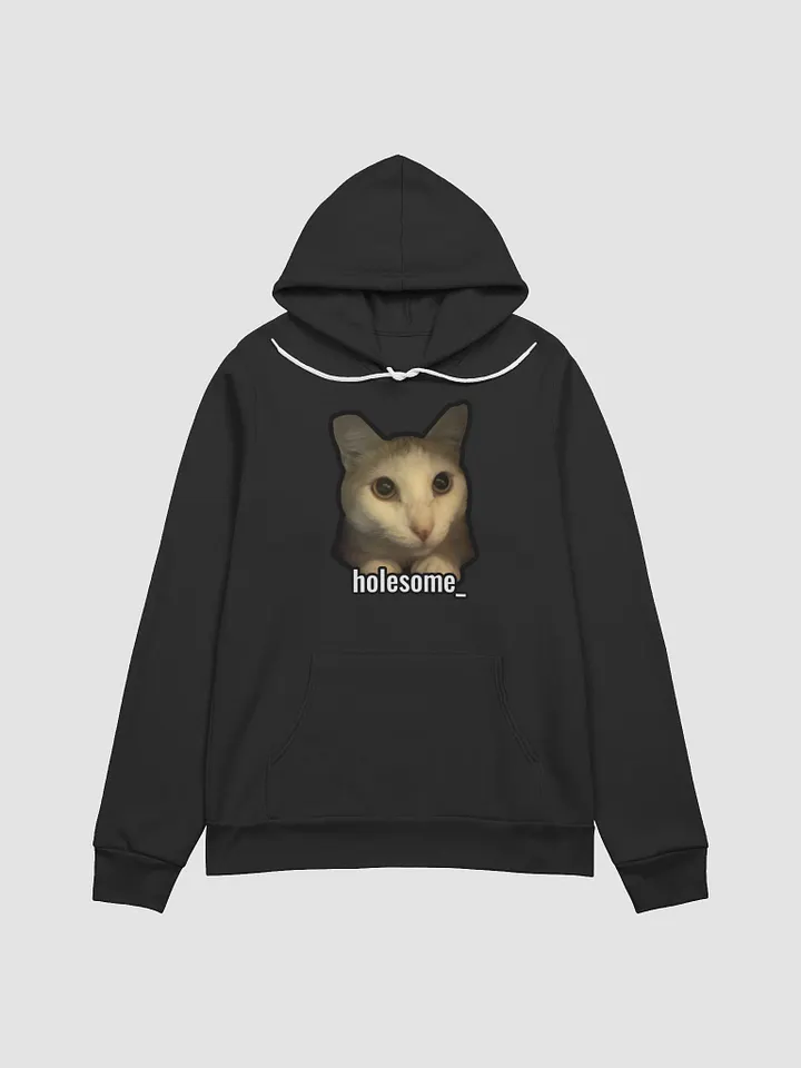 holesome Nico Hoodie product image (3)
