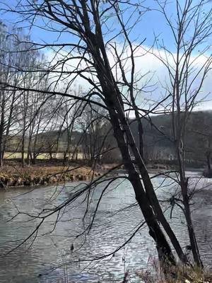 Down on the New #newriver #riverlife #countryroads 