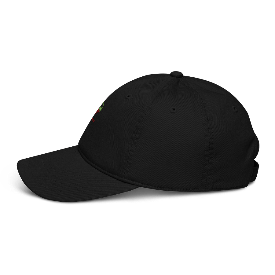 Earth Day Eco-Friendly Dad Hat product image (3)