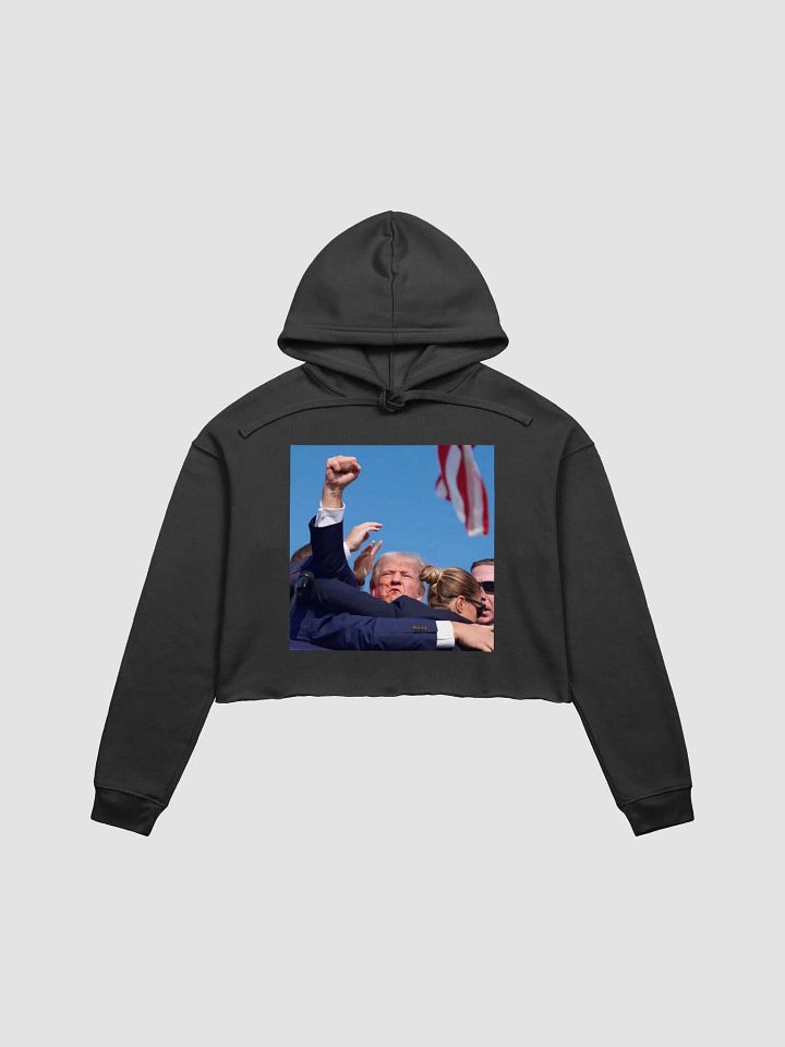 07132024 Crop Hoodie product image (8)