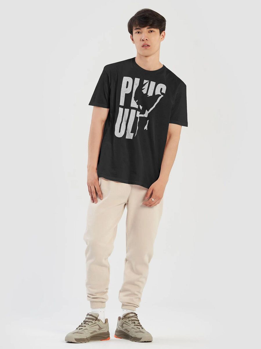 PLUS ULTRA Distressed Tee product image (7)
