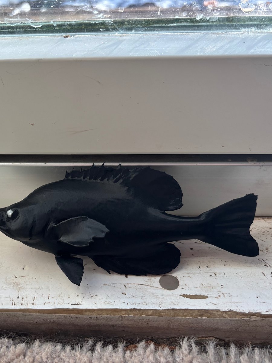 3D printed fish mount product image (2)