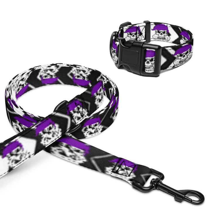 Enigma Nation Pet Collar & Leash product image (2)