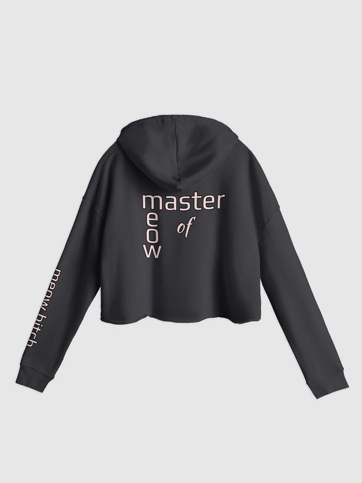 Annoying Crop Hoodie product image (2)