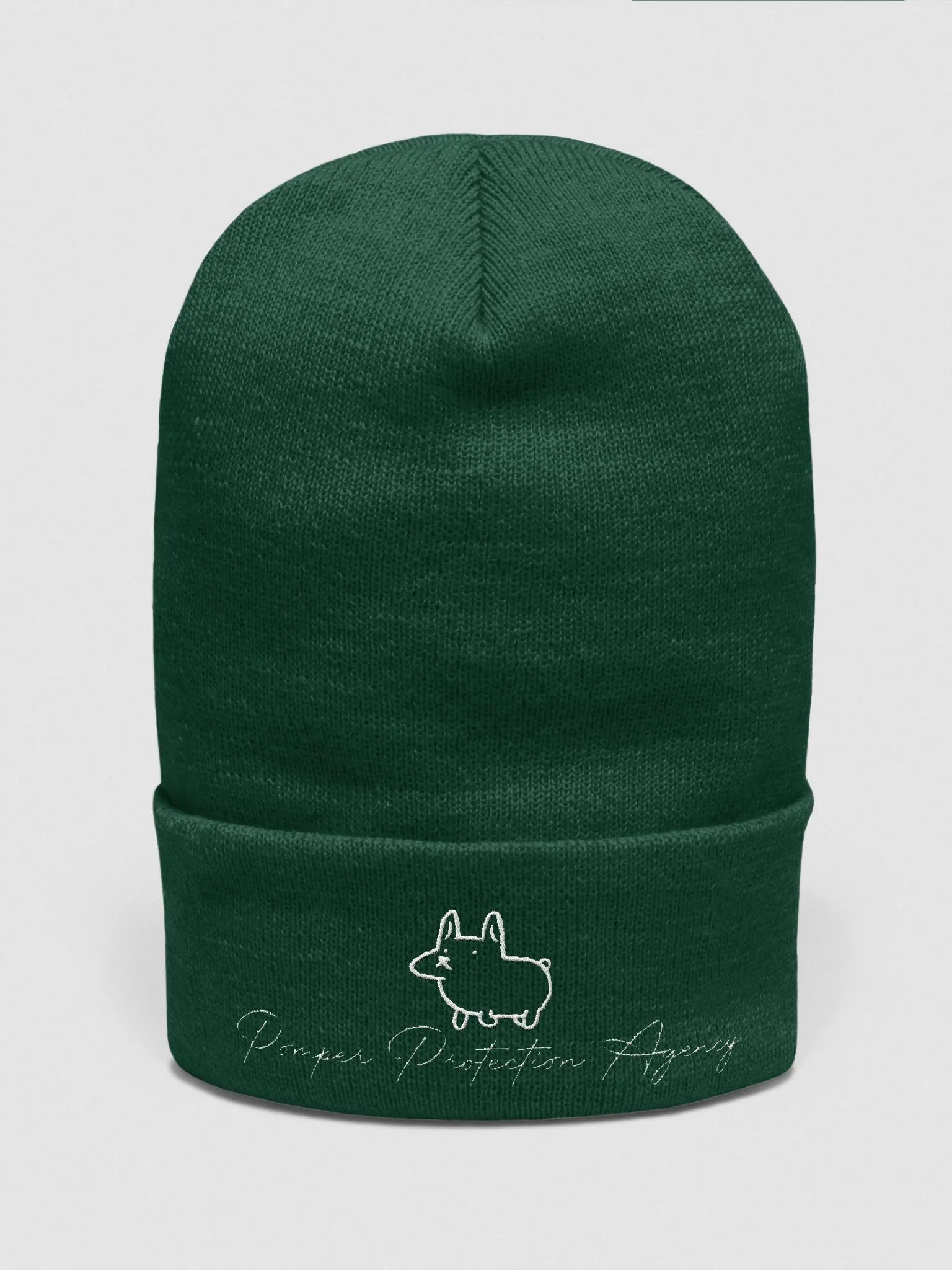 Pomper Protection Agency Beanie product image (26)