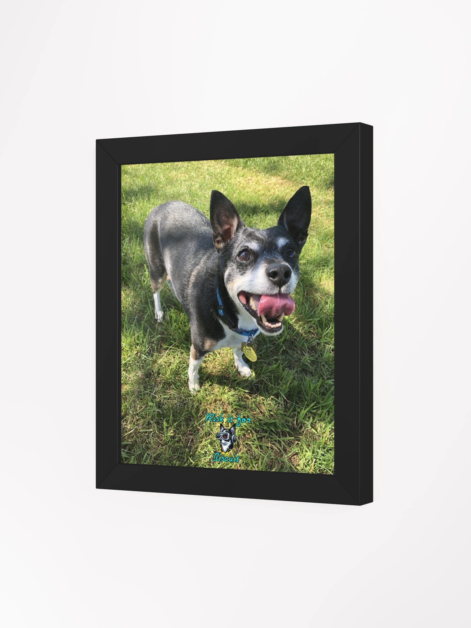 Crew Chief Biscuit - Ready for the summer season! product image (8)
