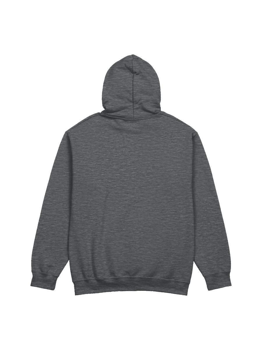 Promote Critical Thinking Now - Hoodie product image (4)
