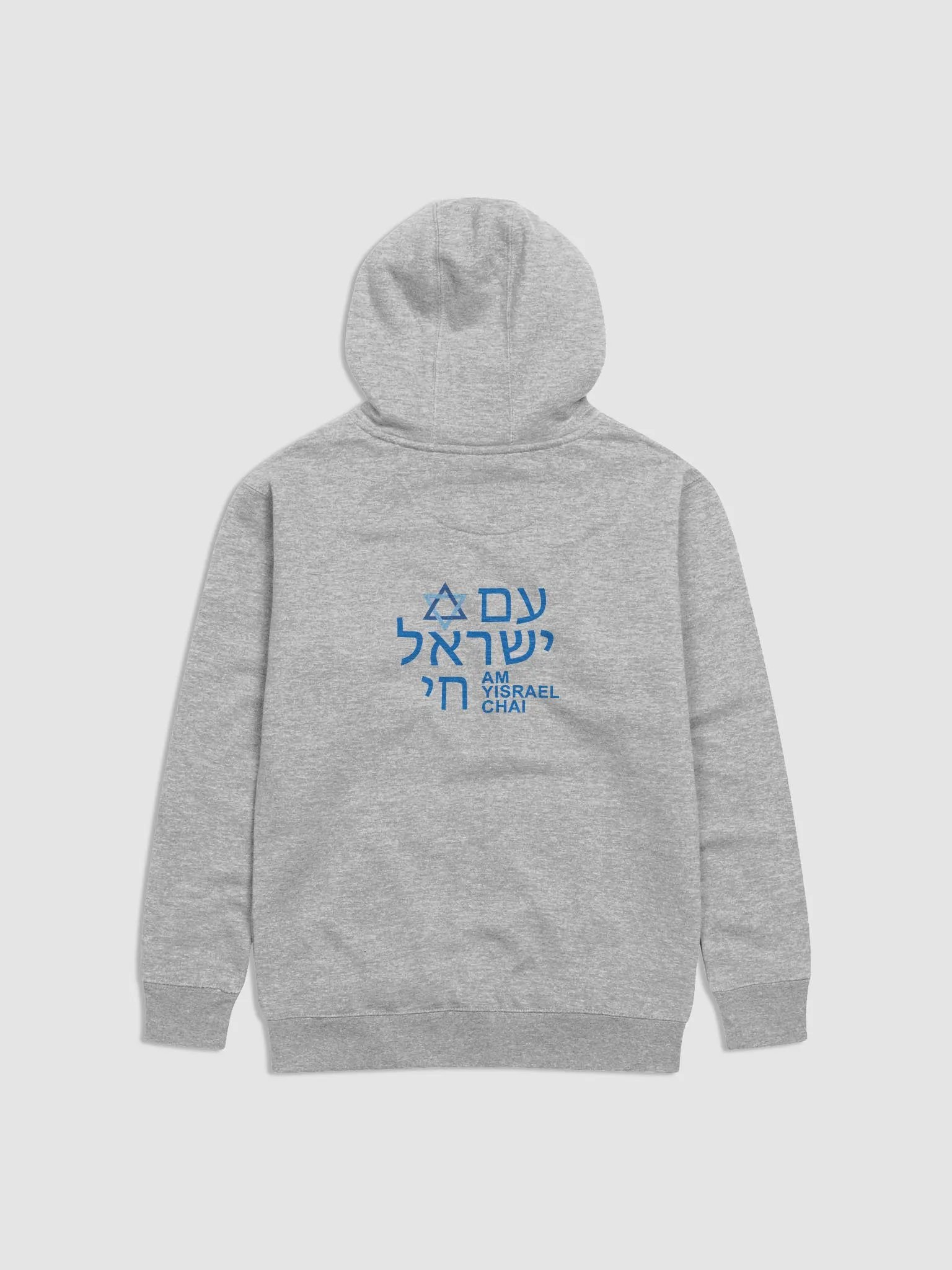 AM YISRAEL CHAI Premium Hoodie product image (24)