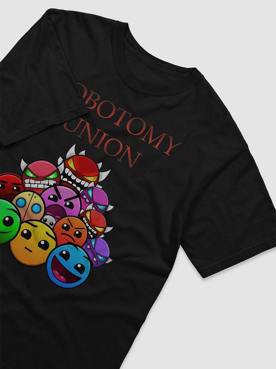 LOBOTOMY UNION HEAVYWEIGHT T-SHIRT product image (17)