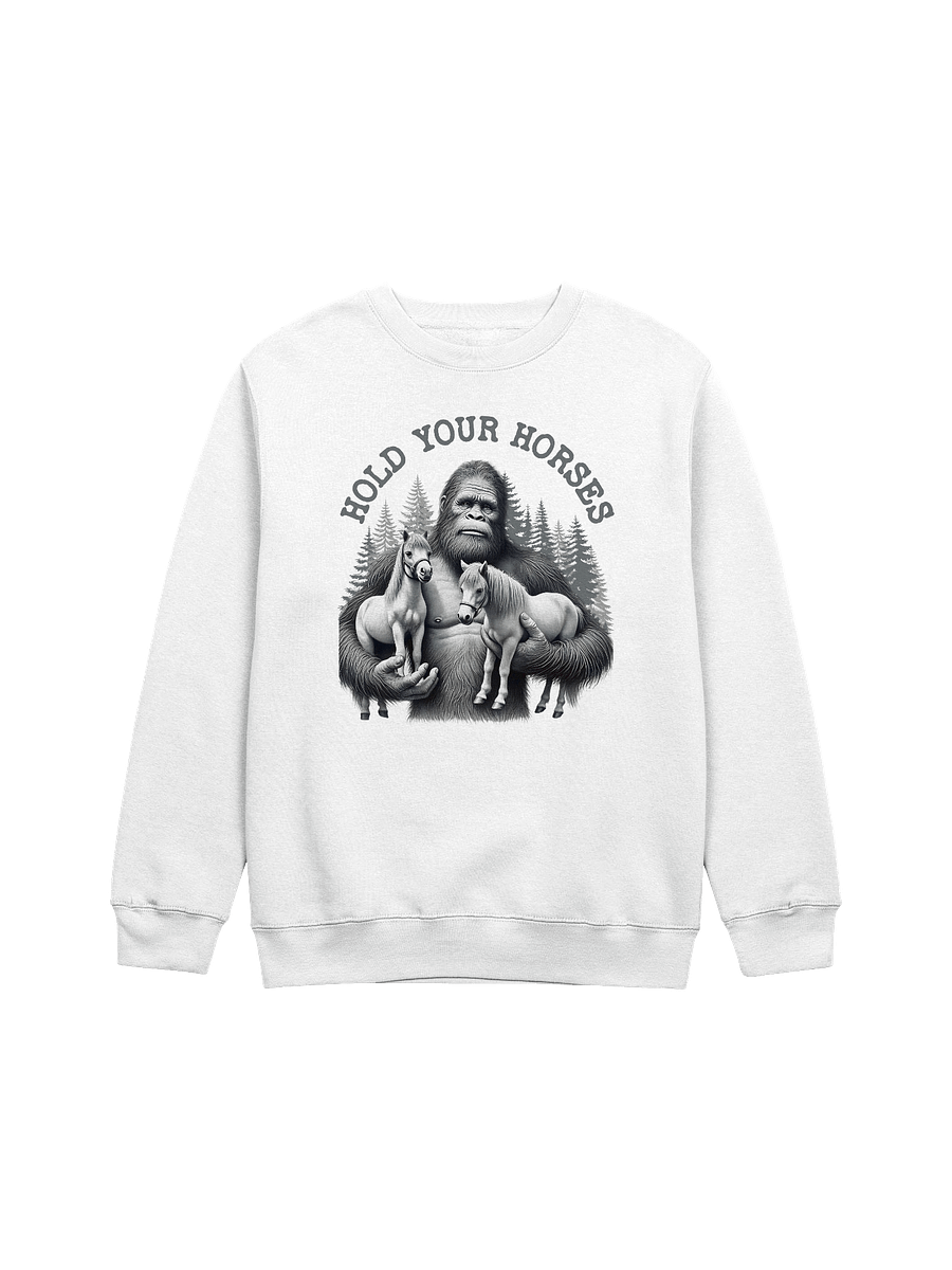 Hold Your Horses Monochrome Alt Sweatshirt product image (1)