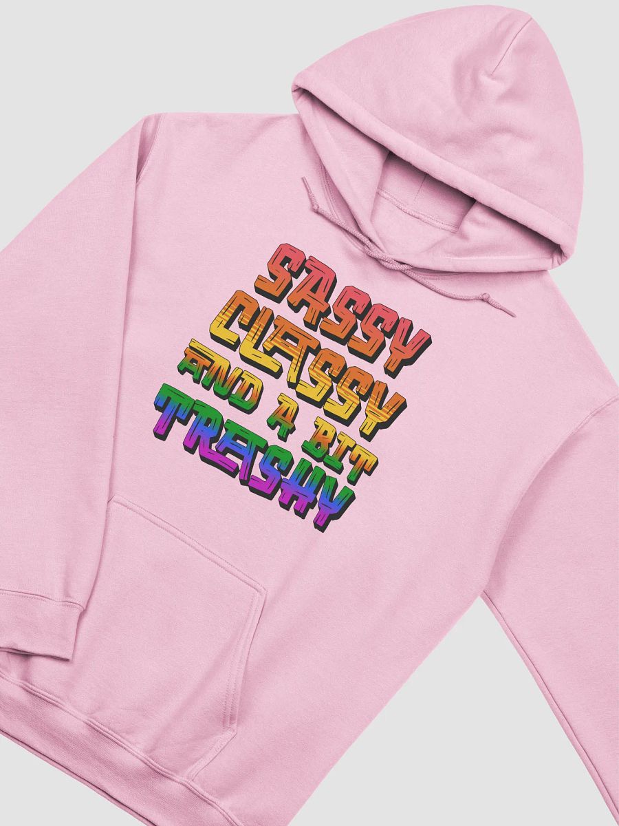 Sassy Classy And A Bit Trashy Hoodie product image (29)