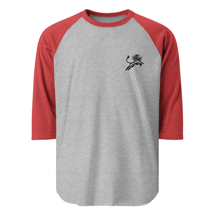 Own Your Day Raglan Tee product image (7)