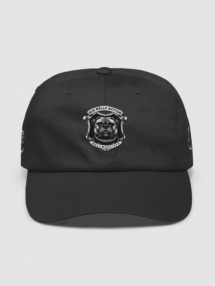 BBN Alter Ego Dad Hat product image (4)