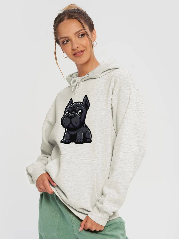 Black Cane Corso with Toys Hoodie – Fun and Cozy Dog Lover Apparel product image (21)
