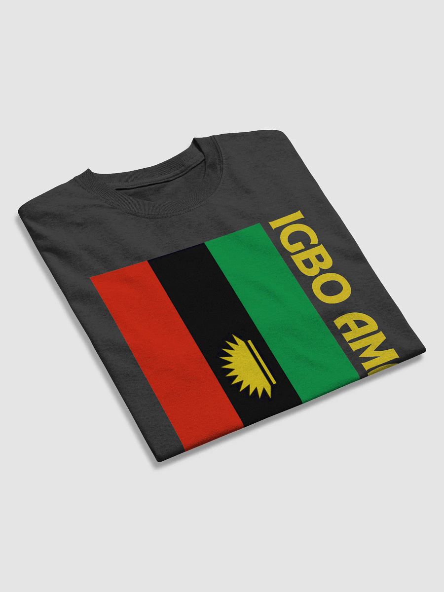 IGBO AMAKA Dark Graphic Heavyweight Unisex T-shirt product image (2)