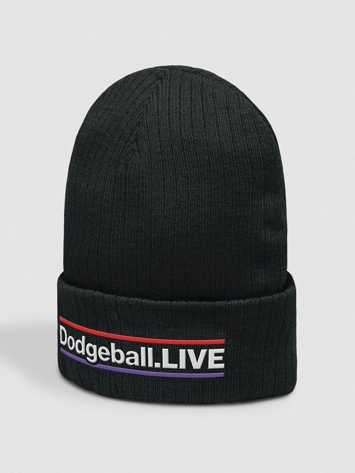 Dodgeball.LIVE HZ Knitted Toque (Light) product image (2)