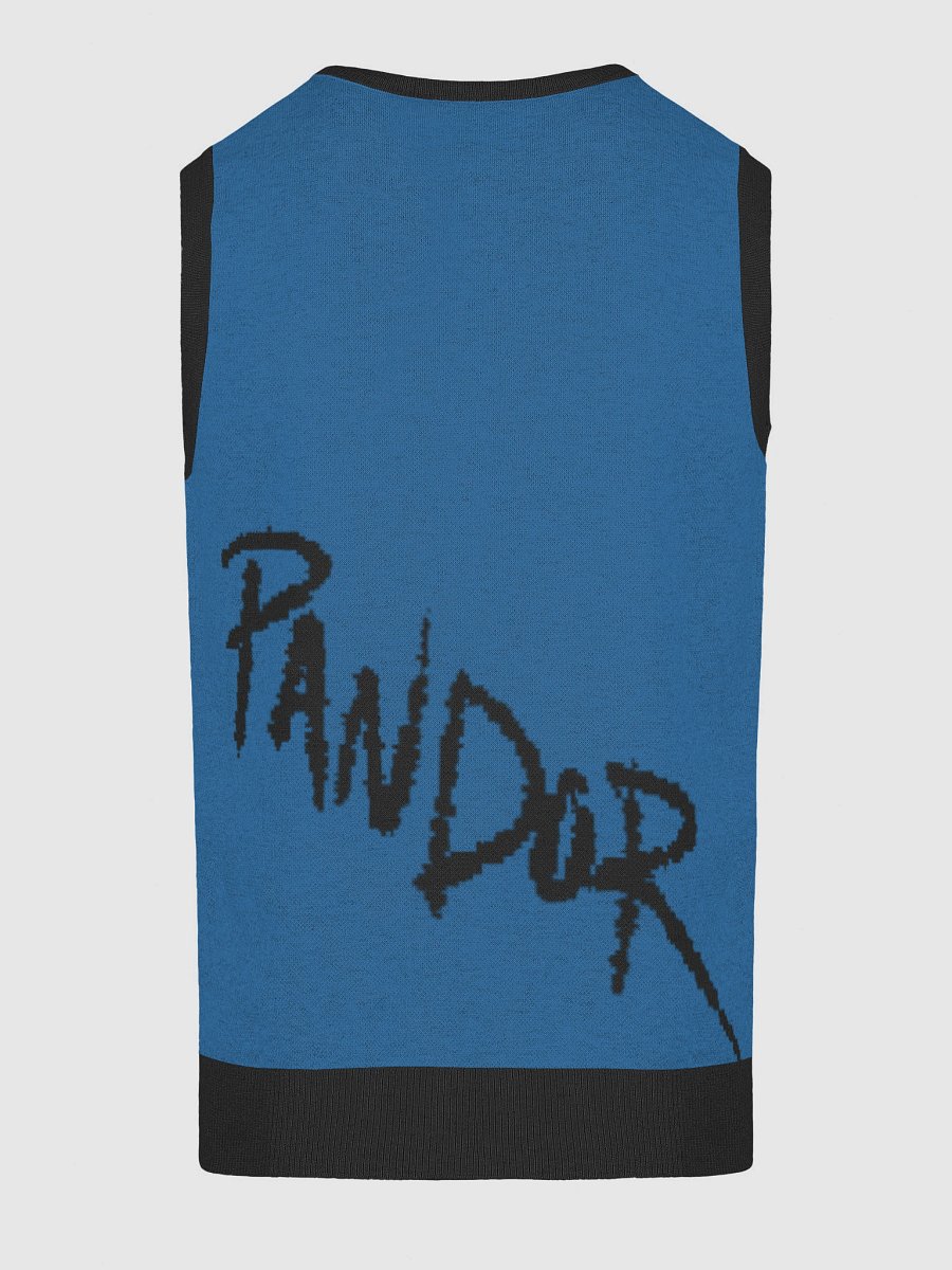 Scrungled Blue Cat Vest product image (18)