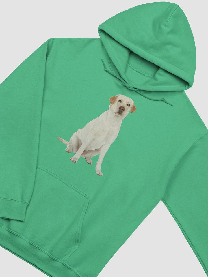 Unisex Labrador Retriever Hoodie – Ultimate Comfort with a Loyal Touch product image (38)