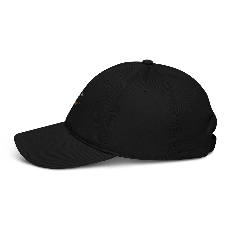 Divine Encounter Organic Dad Hat product image (3)