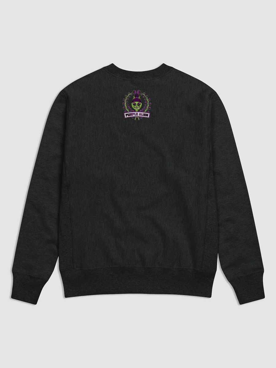 SMOK4Y PURPLE ALIEN HOODIE product image (2)