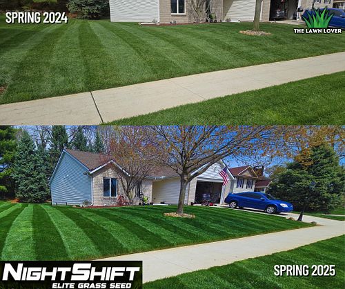 Last season, I did a full overseed with NightShift Elite Tall Fescue. I have been really impressed with the results and overa...