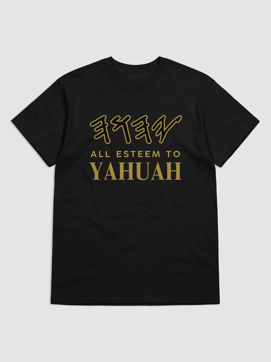 Yasharal Original Music: All Esteem To YAHUAH | T-Shirt | Black product image (1)