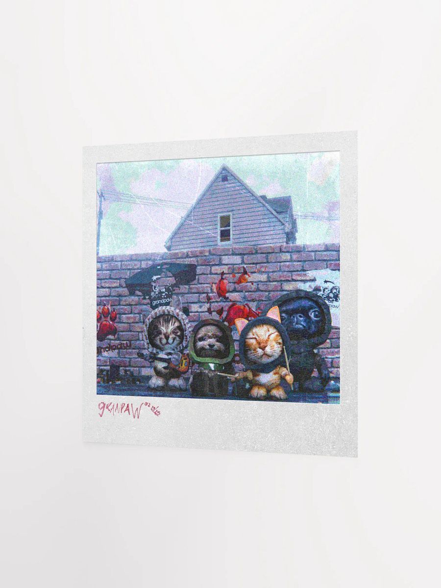 GRANDPAW POLAROID product image (6)