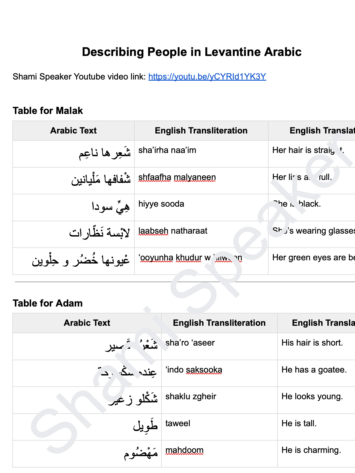 Describing People in Levantine Arabic product image (2)