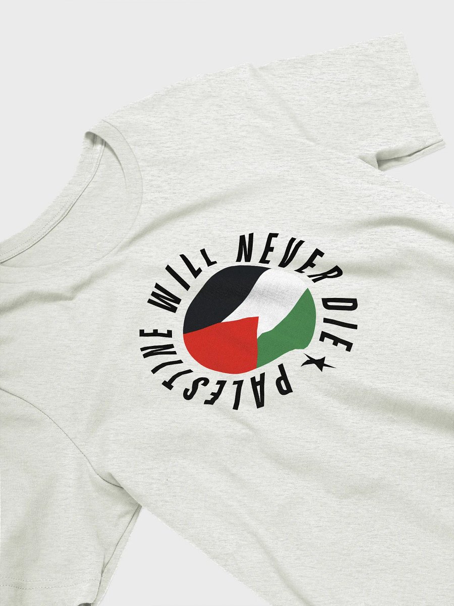 Palestine Flag Iconic T-Shirt | Palestine will never die product image (33)