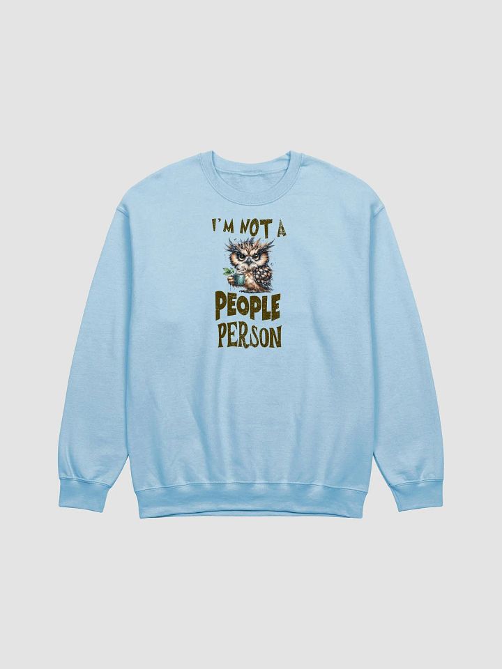 Whimsical Owl Not a People Person Sweatshirt product image (3)