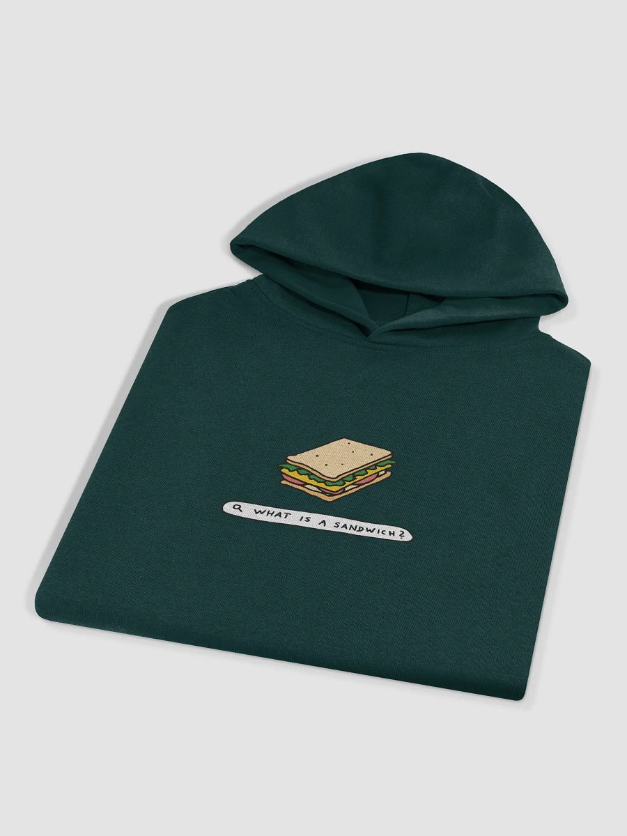 Original TSM 'What is a Sandwich' Hoodie product image (12)