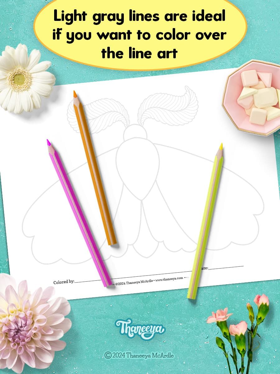 Moth - Single Coloring Page product image (4)