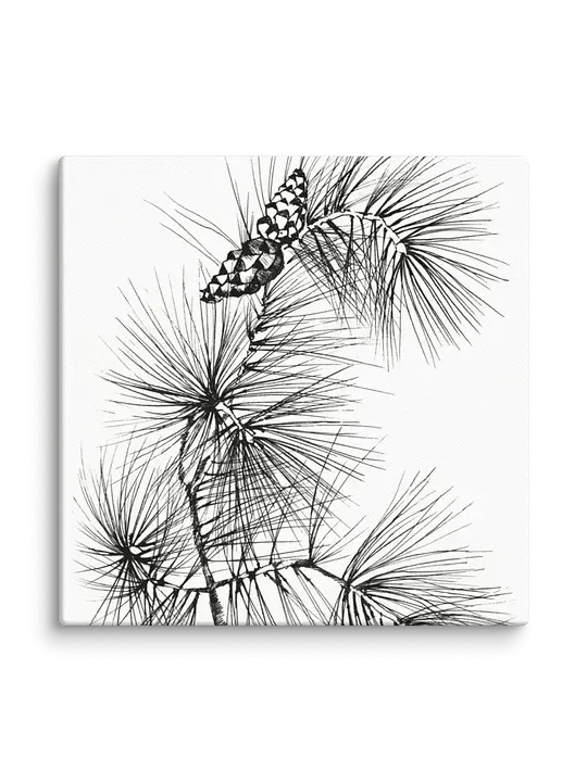 Blank Canvas: Unleash Your Artistic Vision - Pine Branch and Cones product image (100)