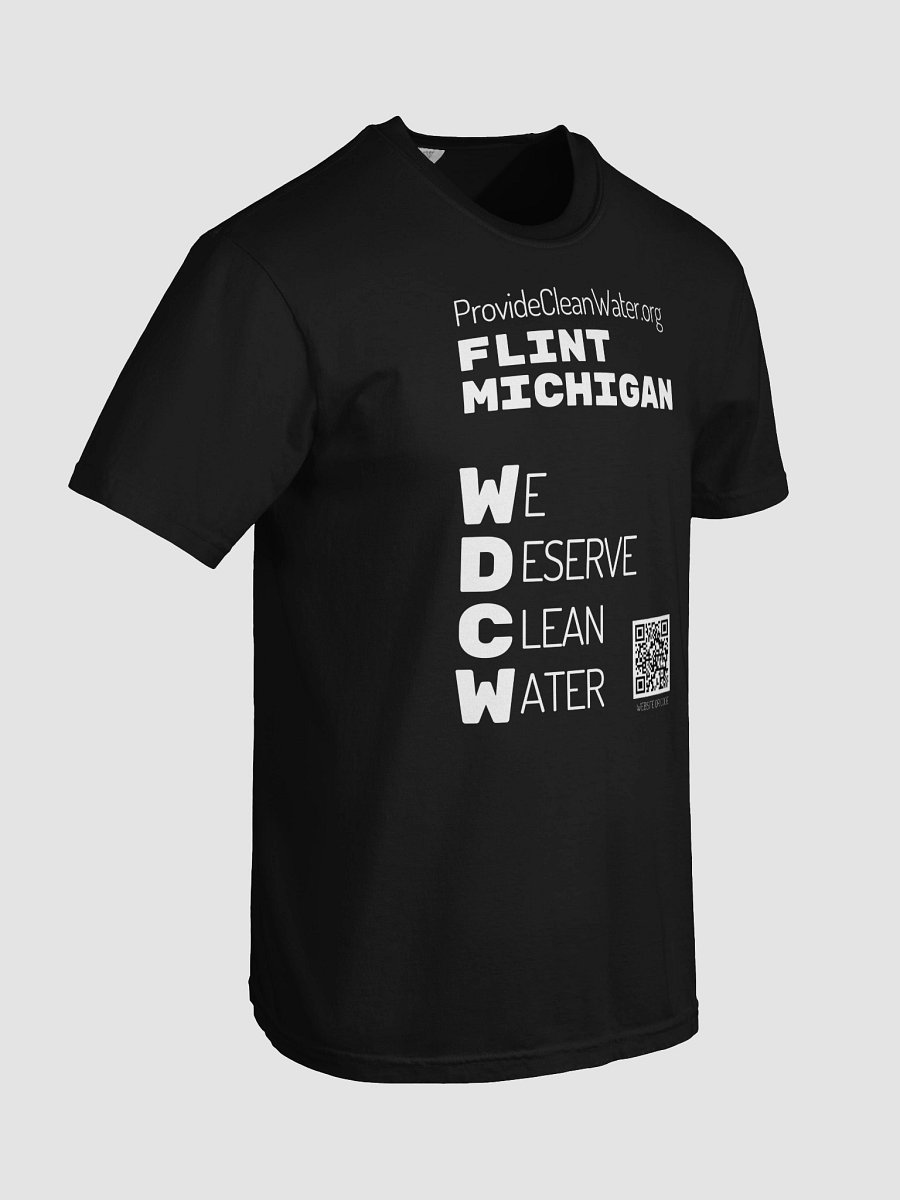 Flint, MI WDCW Color T-Shirt product image (8)
